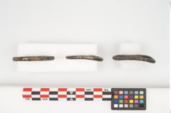 Foto von Bronzering (NHMW-PRAE-025511)